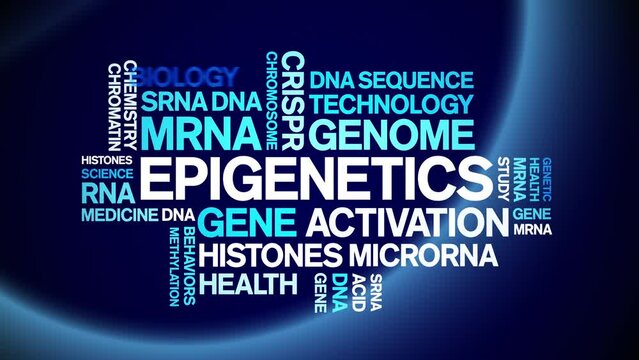 Epigenetics animated word cloud;text design animation tag kinetic typography seamless loop.