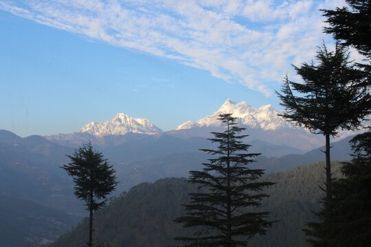 trisula range of himalaya with deodara tree