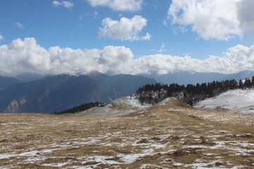 a meadow in the lower himalaya covered of snow - obrazy, fototapety, plakaty