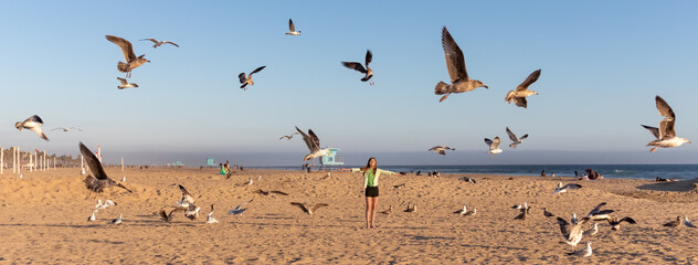 Short Panorama of Teen Girl Surrounded by Low Flying Flock of Seagulls at Huntington Beach, March 2024, California, USA