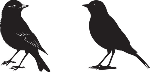 Two Birds black silhouettes on white background	