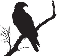 Eagle vector silhouettes on branch
