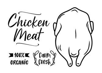 Chicken meat silhouette. Farm fresh raw whole chicken. Black and white vector illustration. Design for shop, farm, butcher. Chicken typography label, sign, emblem, symbol. Line hand drawn raw poultry.