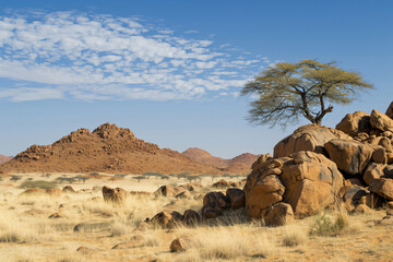 photo african nature scenery with clear sky