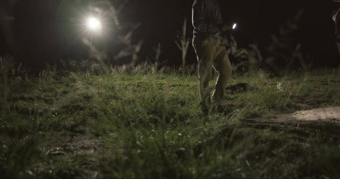 Search, flashlight and detective at night for investigation, clues and missing person report in nature or outdoor. People or investigator walking, teamwork and inspection for clues in crime and park
