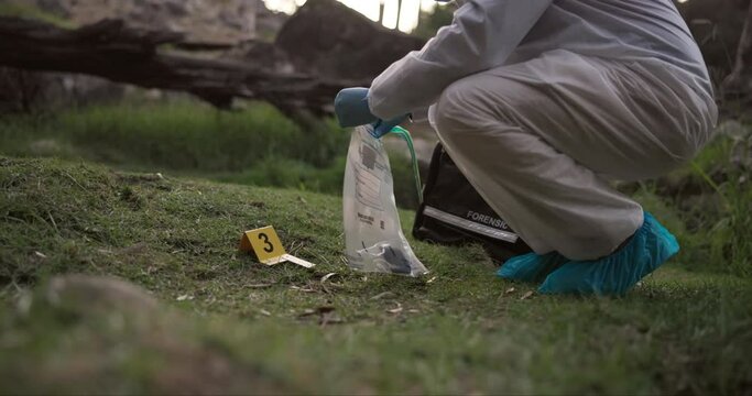 Forensic, bag or evidence at crime scene for investigation in forest with safety collect or protection hazmat..Csi career, expert investigator and examination for observation or case research outdoor