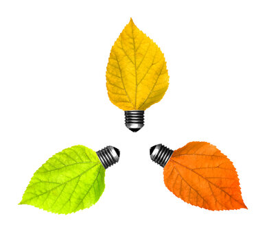 A picture of three leaf bulbs over white background a lot of space for text