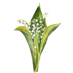 Bouquet of lily of the valley flowers, drawn by hand. Watercolor illustration of spring flowers