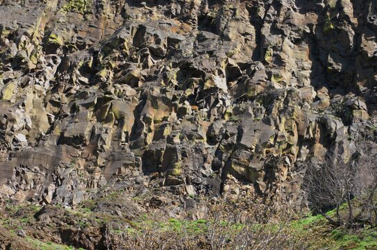 Close up of rock cliff face, more specifically columnar basalt, with some small scrub at the bottom. 