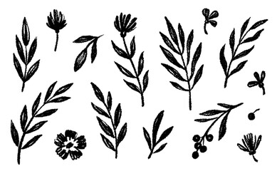 Leaf brush hand drawn ink elements. Black crayon texture brush abstract olive, flower, leaf abstract hand drawn illustration. Brush branch, botanical floral silhouette vector illustration - obrazy, fototapety, plakaty
