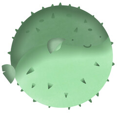 Pufferfish