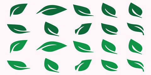Green leaf icons set. Leaves icon on isolated background. Collection green leaf. Elements design for natural, eco, vegan, bio labels. Vector illustration EPS 10 - obrazy, fototapety, plakaty