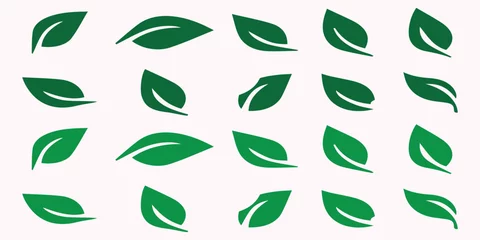 Fotobehang Green leaf icons set. Leaves icon on isolated background. Collection green leaf. Elements design for natural, eco, vegan, bio labels. Vector illustration EPS 10 © Design Package