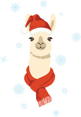 Fototapeta premium Portrait of llama in red hat and scarf. Cute llama wear red christmas hat and scarf illustration.