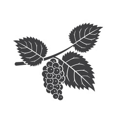 Obraz premium illustration of mulberry fruit, vector art.