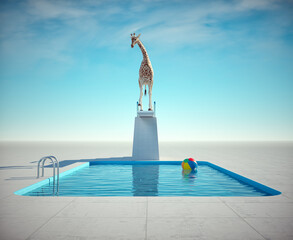Giraffe getting ready to jump into the pool. - 763764749