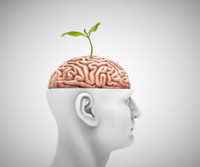 Man with half head and a brain with a small plant on it.