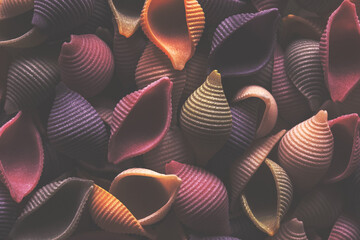 Multicolored italian shell shaped raw pasta decorative food background for menu cover design or gastronomic illustration