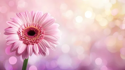 Zelfklevend Fotobehang Pink gerbera daisy on magical bokeh background with ample copy space for text placement © PSCL RDL