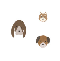 3 dogs
