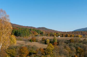 autumn landscape in the mountains
