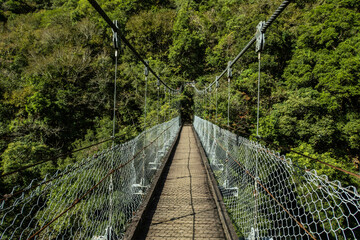 Fototapeta na wymiar Crossing a suspension bridge to Zhuilu Old Trail, Taroko National Park, Taiwan 