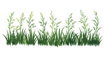 Fotobehang Imprint of natural field grass. Decorative grass isolated © Jasmin