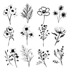 A set of black and white drawings of flowers. The flowers are all different shapes and sizes, and they are arranged in a grid. Scene is calm and serene, as the flowers are depicted in a simple
