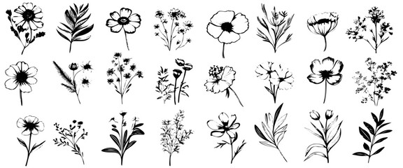 A collection of black and white flowers are shown in various sizes and shapes. The flowers are arranged in a row, with some overlapping each other