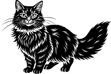 maine coon silhouette vector illustration 