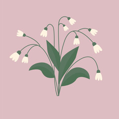 Lily of the valley icon. Convallaria white flower set. Green leaves. Flat design. Hello spring. Modern minimalist design for wall art, poster, greeting cards. Pink background. Vector illustration - 763790500