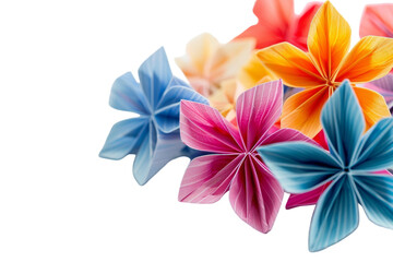 Colorful Flowers Isolated On Transparent Background