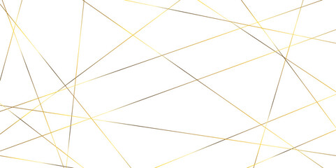 Abstract banner with an asymmetric texture. Geometric art golden random lines.
