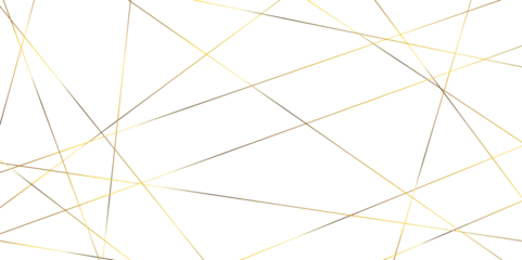 Fotobehang Abstract banner with an asymmetric texture. Geometric art golden random lines.  © Sharmin