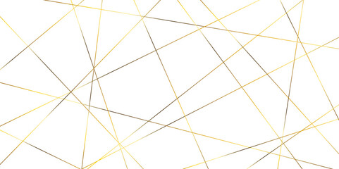 Obraz premium Abstract banner with an asymmetric texture. Geometric art golden random lines. 