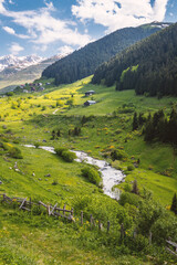Ovit Plateau, located in Rize, Turkey, is one of the most beautiful plateaus in the country.