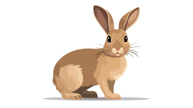 rabbit flat vector isolated on white background