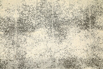 デザイン的な壁の模様