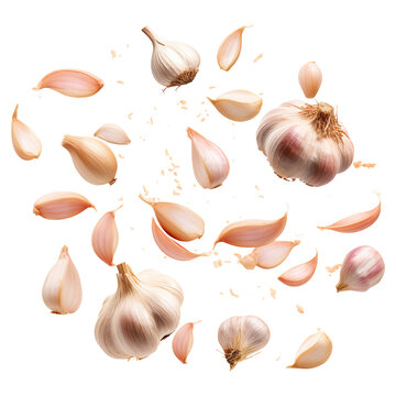 Flying garlic and cloves isolated on transparent background Remove png, Clipping Path, pen tool
