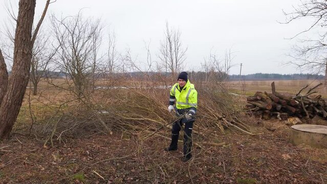 Male lumberjack in bright green jacket throw leafless tree branches in pile