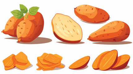 Sweet potato whole and slices flat style vector illustration
