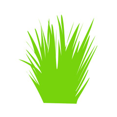 Green grass vector,Taper grass,simple,natural,organic,bio,eco labels and shapes on white background.