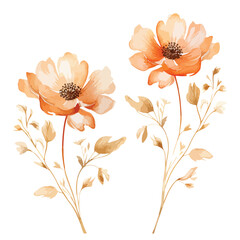 Copper Flowers Watercolour clipart isolated on white