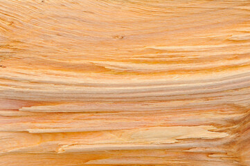 Detailed close-up of a textured wooden surface, showcasing natural grain patterns and imperfections.