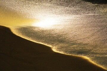 金色に輝く浜辺