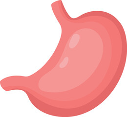 Stomach cartoon icon. Internal digestive organ. Human biology