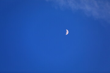 月と青空