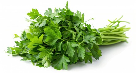 Isolated Parsley Bundle on White Background. Fresh and aromatic parsley bunch with bright contrast, perfect as a fresh condiment - obrazy, fototapety, plakaty