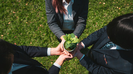 Business people hold plant or sprout together in unity and teamwork concept of eco company...