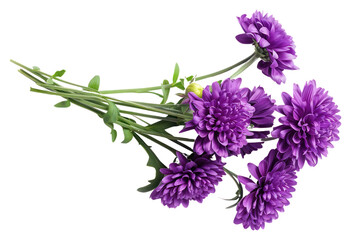PNG Bouquet of herbal purple flower plants transparent background